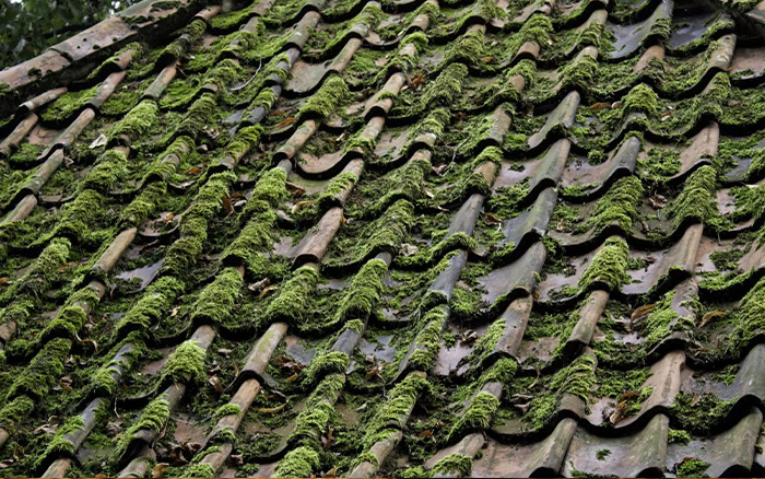 Démoussage et nettoyage de toiture à Rueil-Malmaison (92500) et Issy-les-moulineaux (92140), dans les Hauts de Seine (92) et en Ile de France